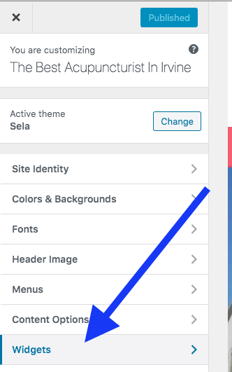 Wordpress where widgets is in settings