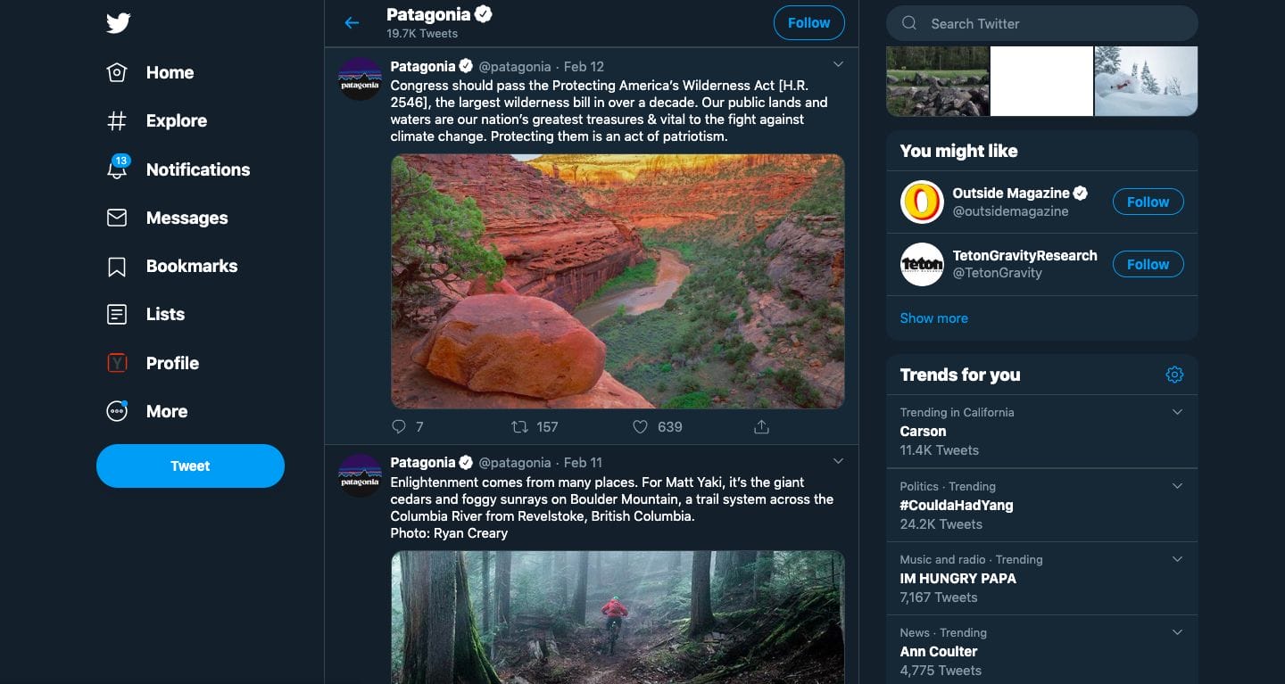Patagonia Twitter Sports Marketing Strategy Post