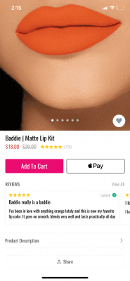 kylie lip product description