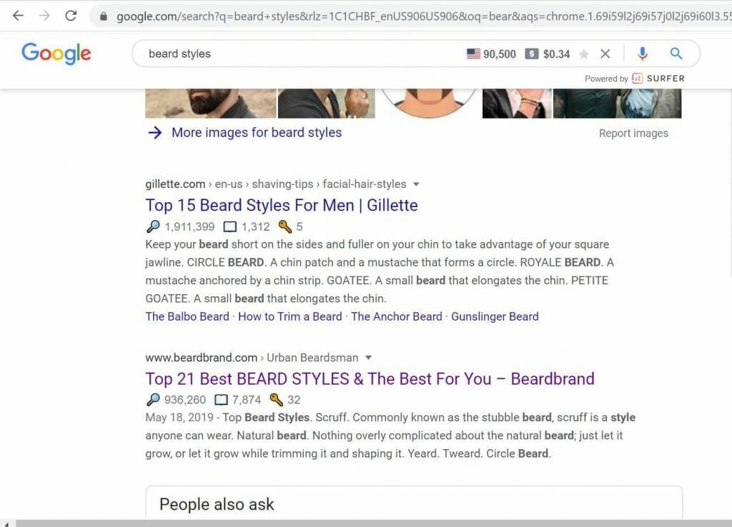 beard style google search results