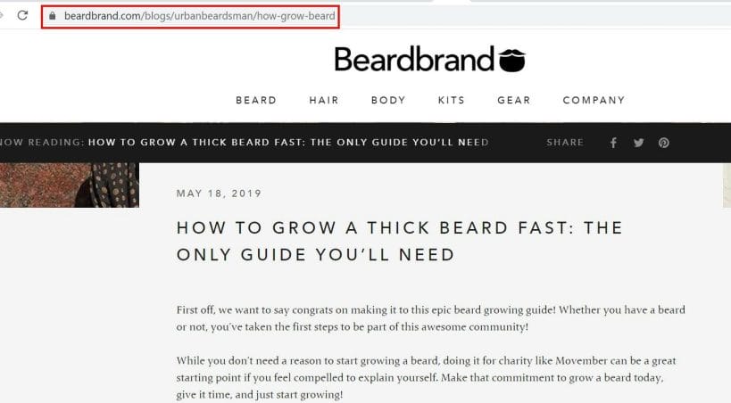 beard brand URL example
