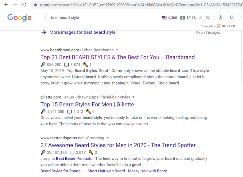 best beard style google search results