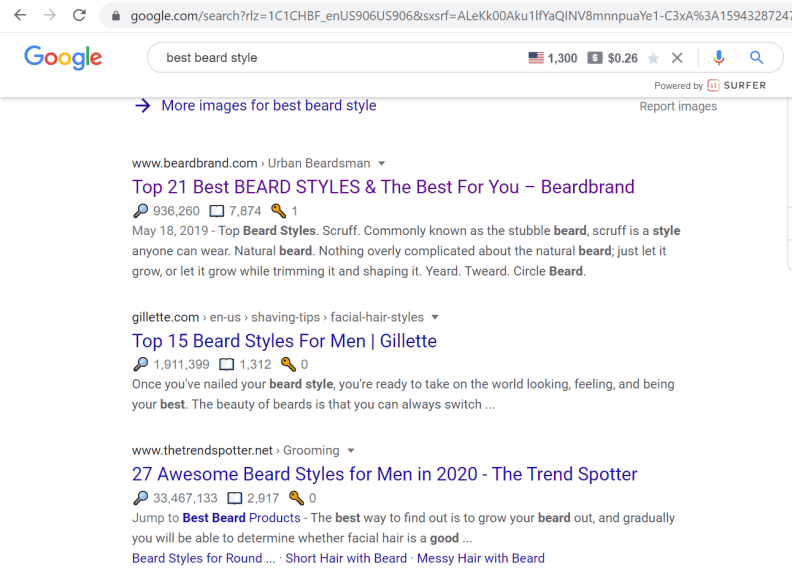 best beard style google search results