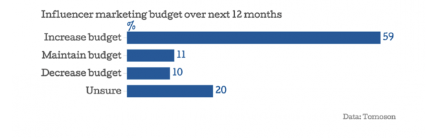 Influencer Marketing Budget in 12 months