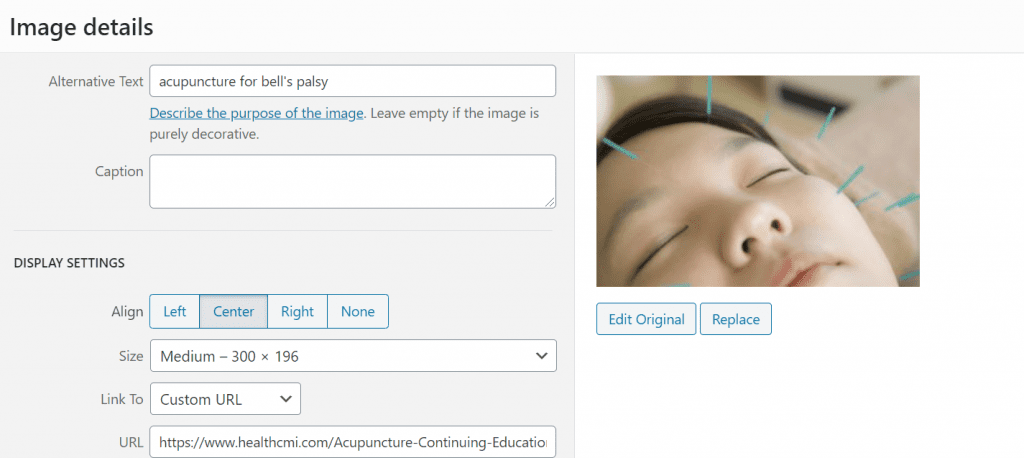 using alt tags