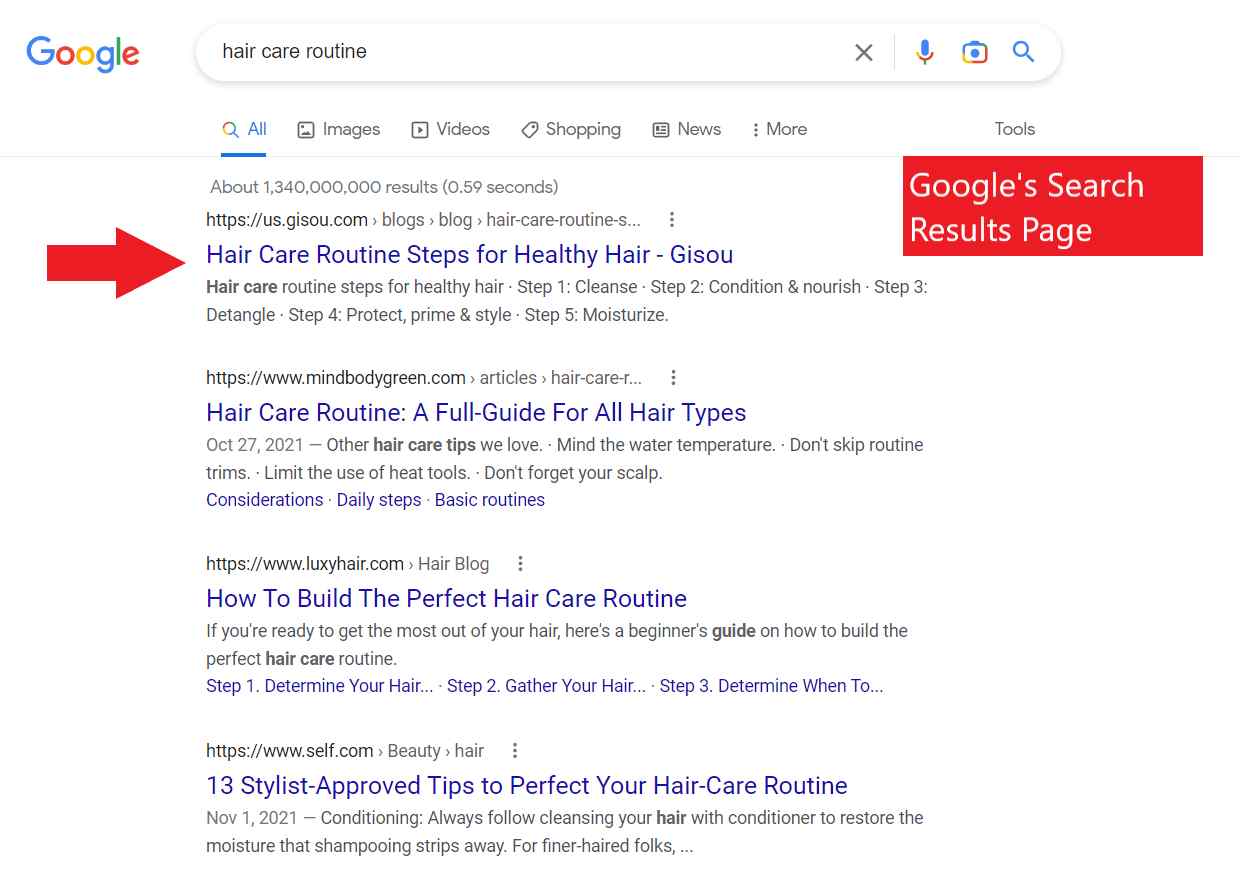 Search Results Page for the keyword hair care routine