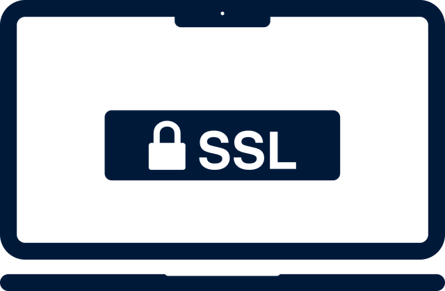 SSL certificate installed in SEO website
