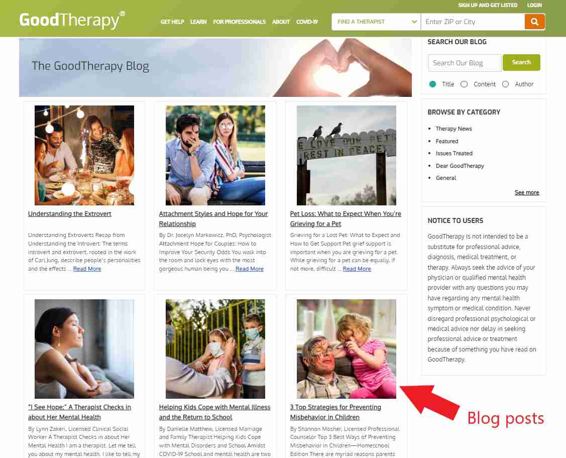 Therapist blog ideas