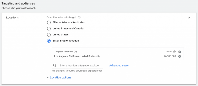 set location for your google ads for veterinarians