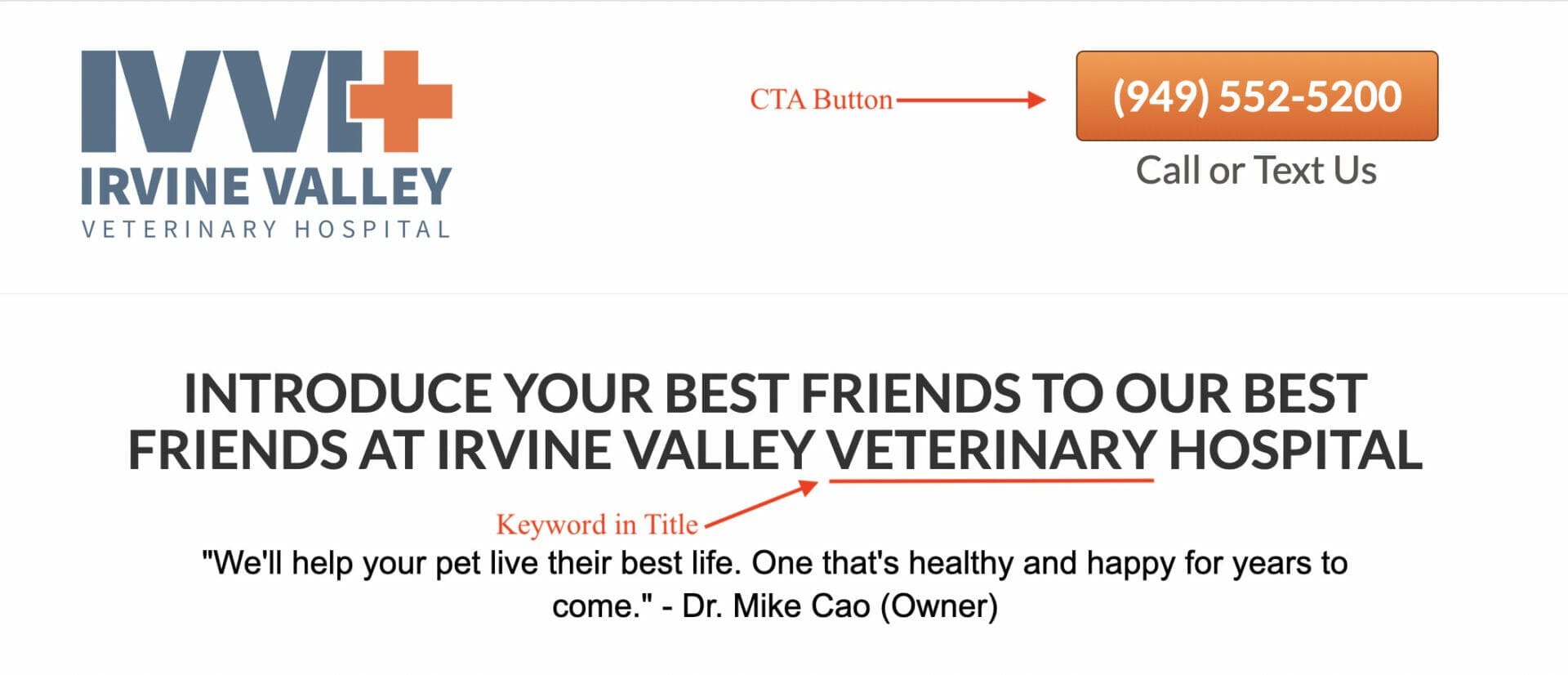 page example for vets for ppc campaign