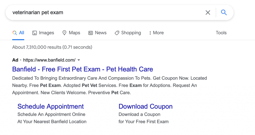 google search results when searching "veterinarian pet exams" 