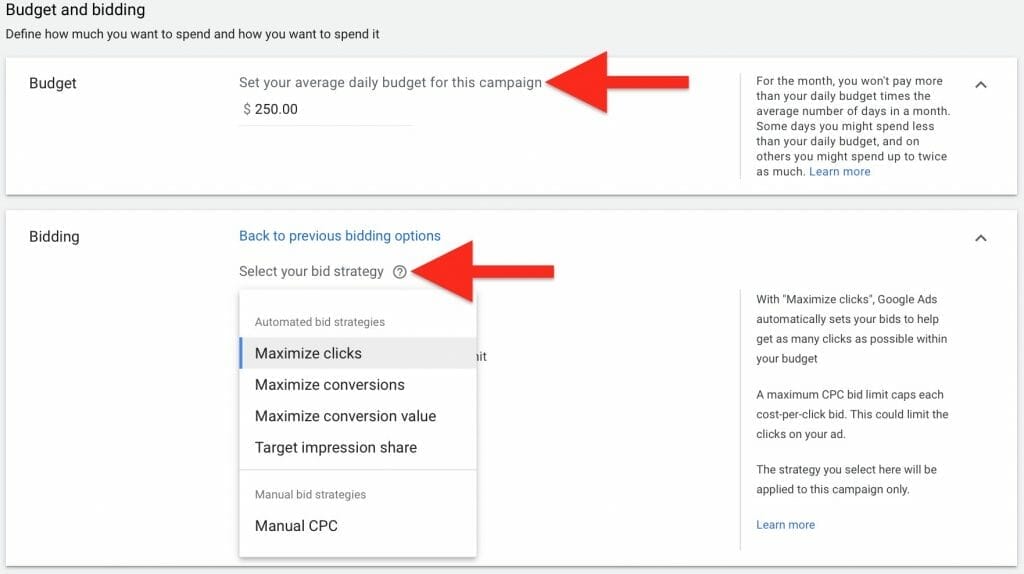 set your budget and choose the best bidding strategy