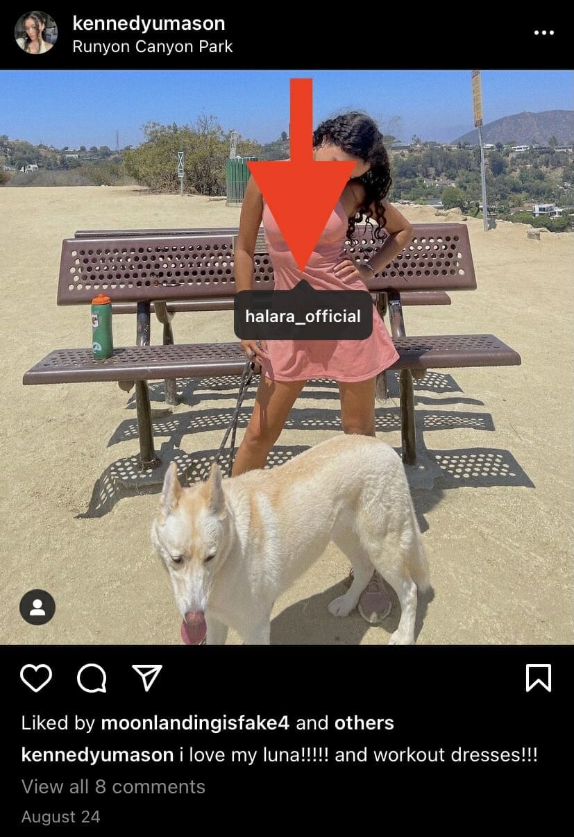 halara instagram influencers post