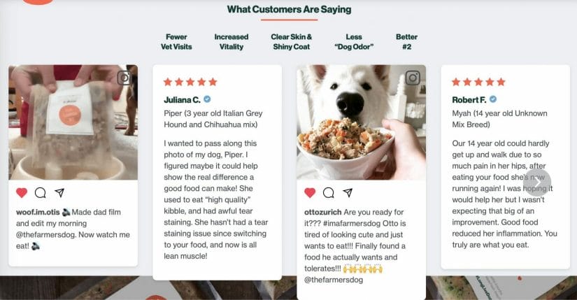 The Farmer's Dog word or mouth marketing
