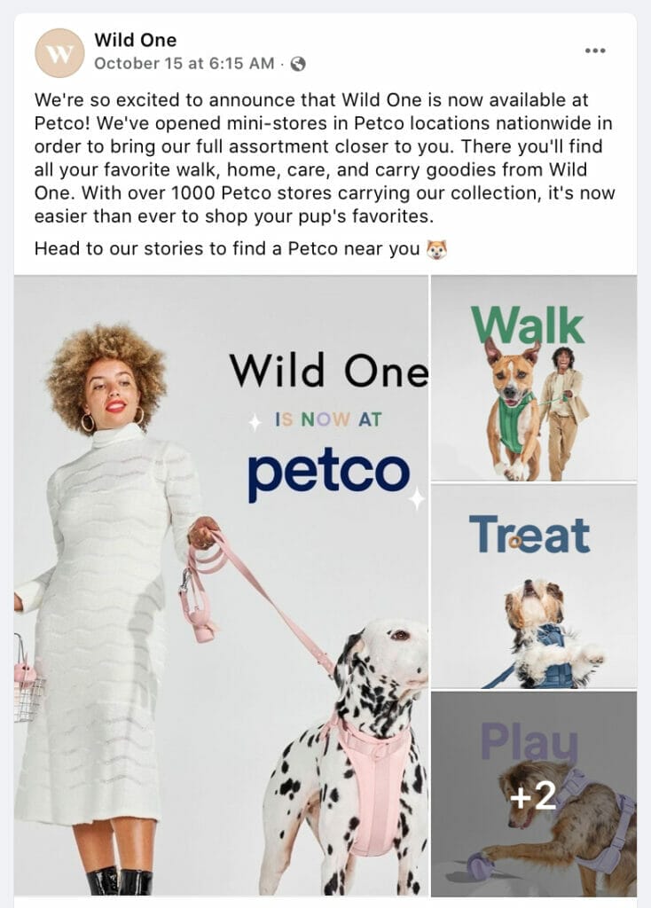 Wild One's Omnichannel Marketing How the Pet Brand Has Tripled Its