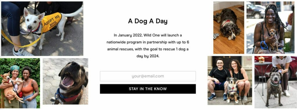 wild ones new mission: a dog a day