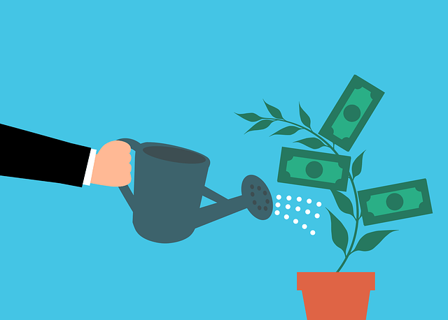 watering a plant that grows money