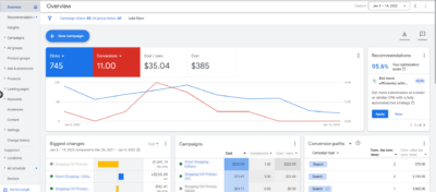 google ads account overview