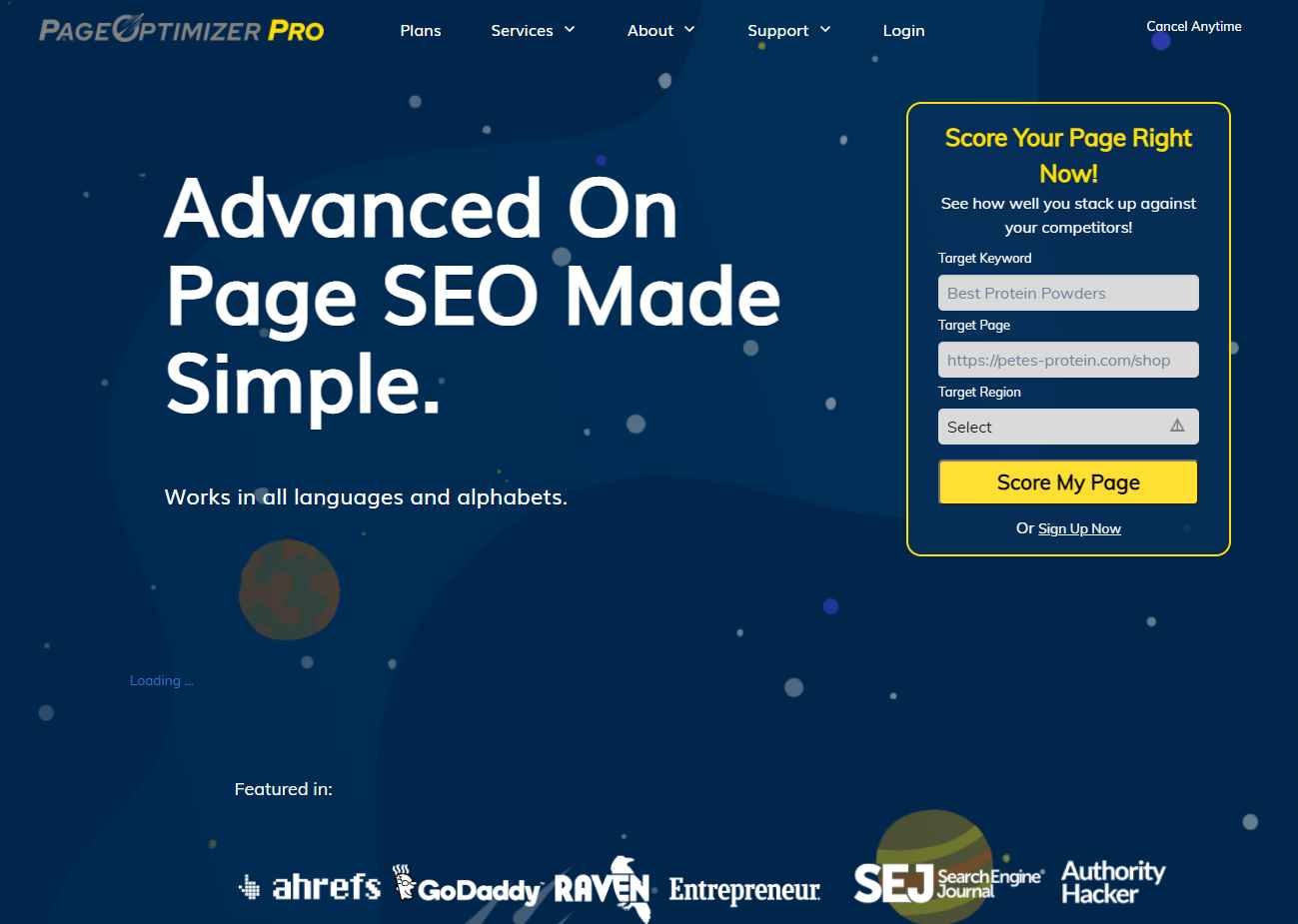 A tool that helps increase your on page SEO (Page Optimizer Pro)