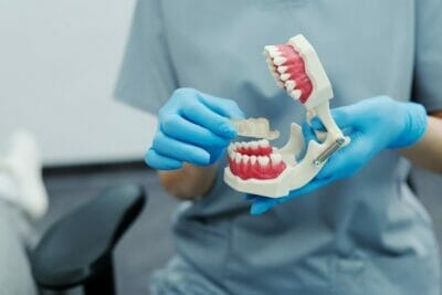 Dentist holding a sample denture