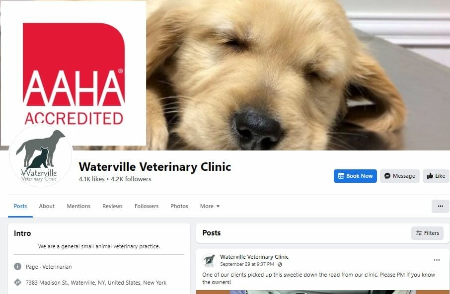 Veterinary clinic on Facebook