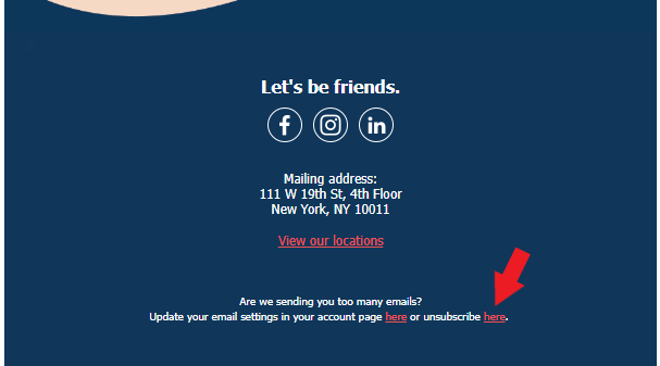 Email marketing campaign link to unsubscribe