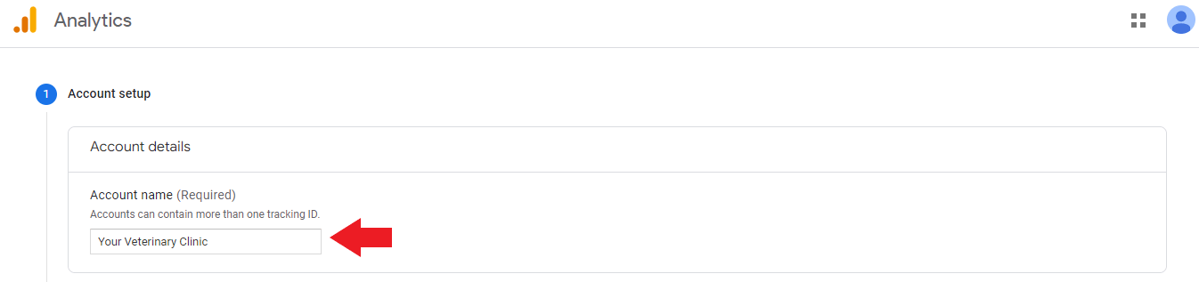 Google Analytics veterinary account setup