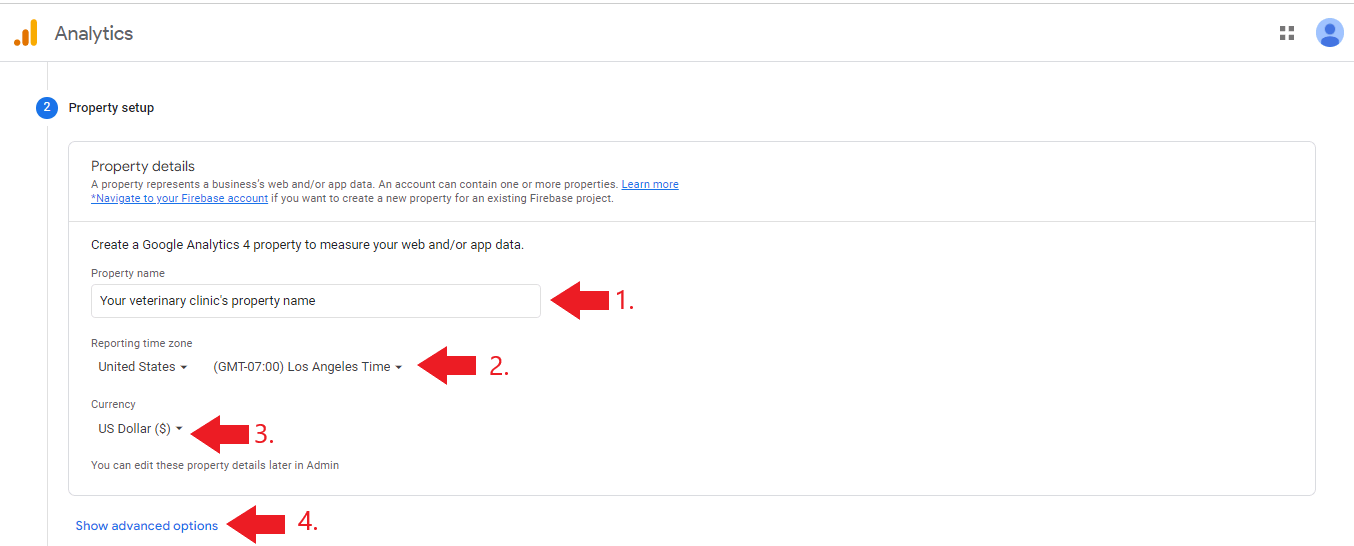 Set up veterinary clinic property