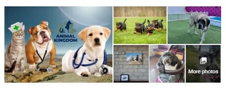 Photos from a vet clinic's Google My Business profile