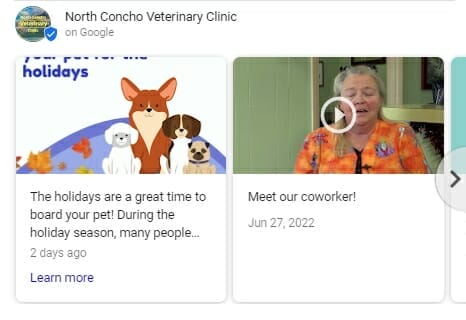 Google posts on a vet clinic's business profile