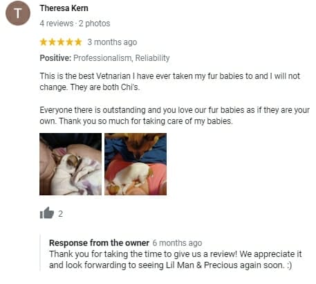 Owner of vet clinic responding to Google My Business reviews
