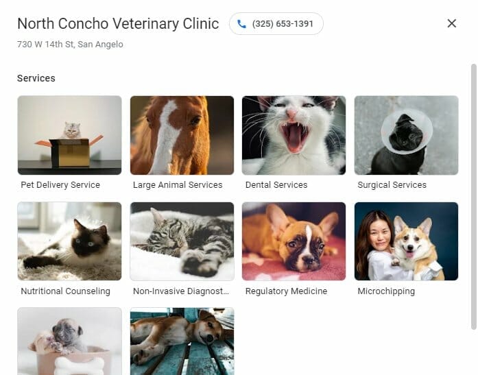 Veterinary services on Google Business