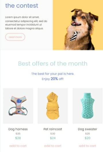Email marketing looking for pet models template
