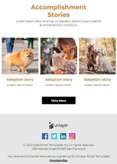 Email newsletter template for veterinary clinics 