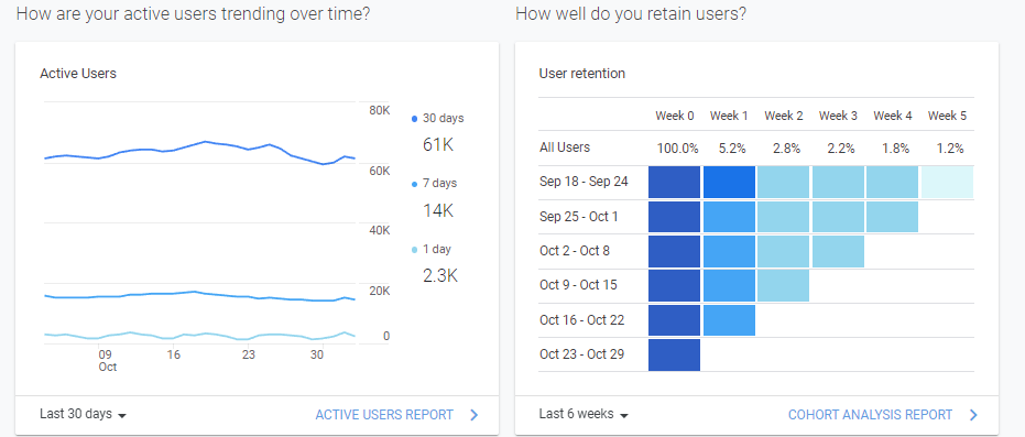Analytics report of a veterinary website