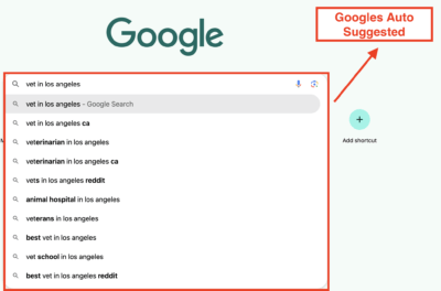 googles auto suggested 