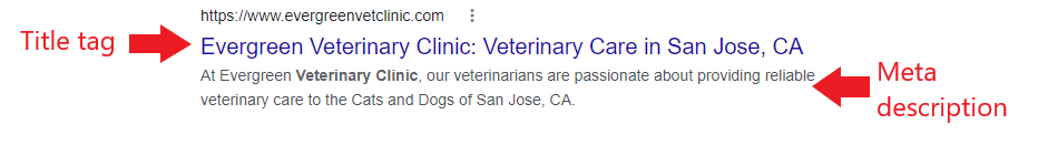 Meta description and Title tag of a veterinary website
