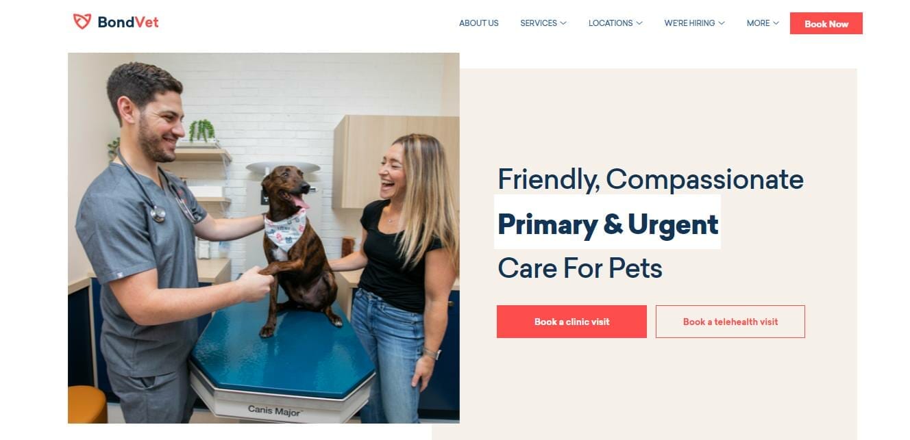 Landing page of a veterinary website
