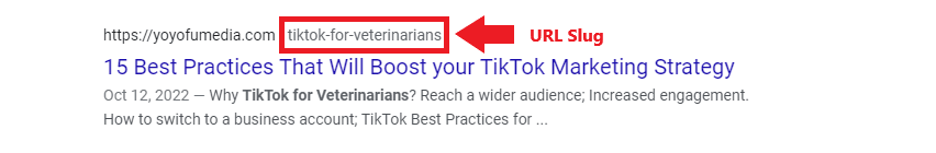 URL slug of a blog post about TikTok for Veterinarians