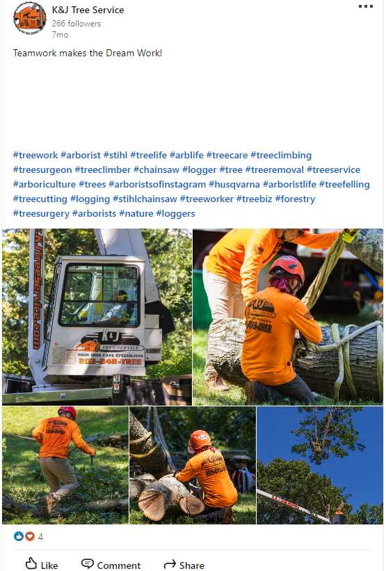 Behind the scenes of tree removal service