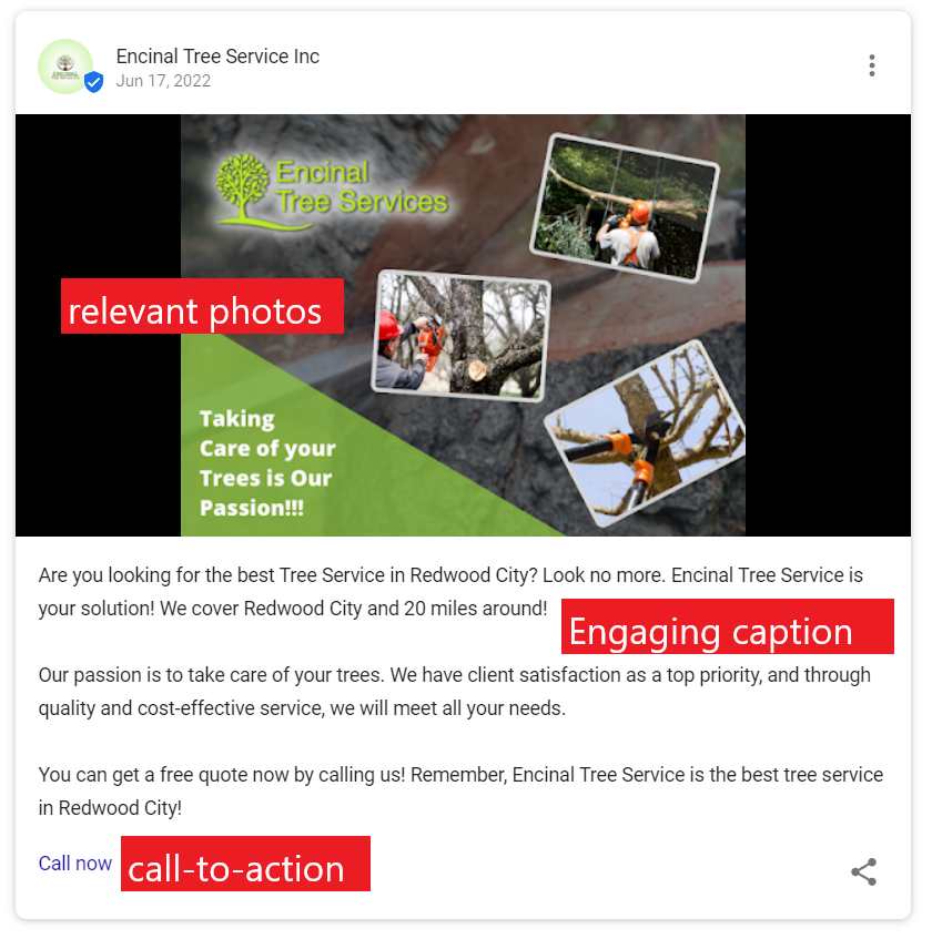 Tree removal company GMB post