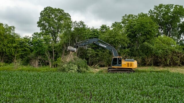 Google Ads for tree removal