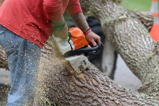 A man wearing orange shirt cutting tree branches using a chainsaw