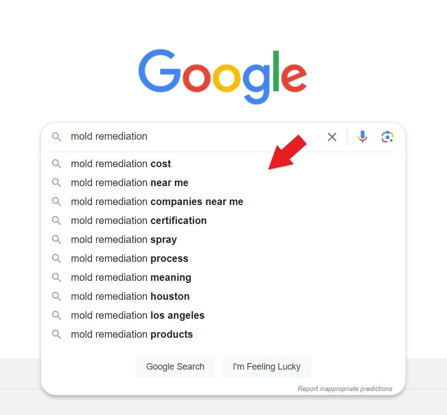Auto complete suggestions for the keyword mold remediation