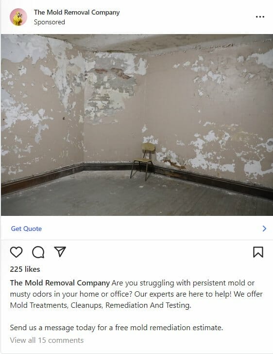 Instagram ad from a mold remediation company