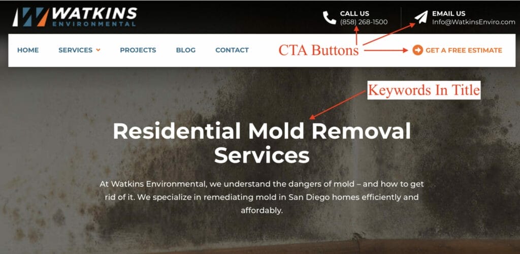 mold removal service example using cta buttons and keywords in title