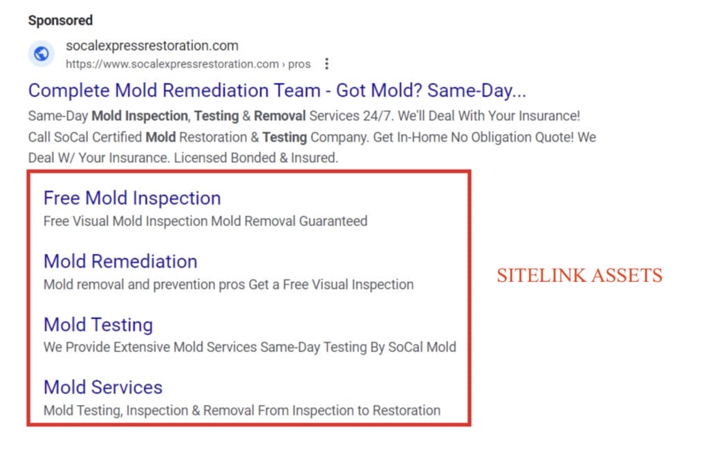 sitelink asset examples for mold remediation campaign