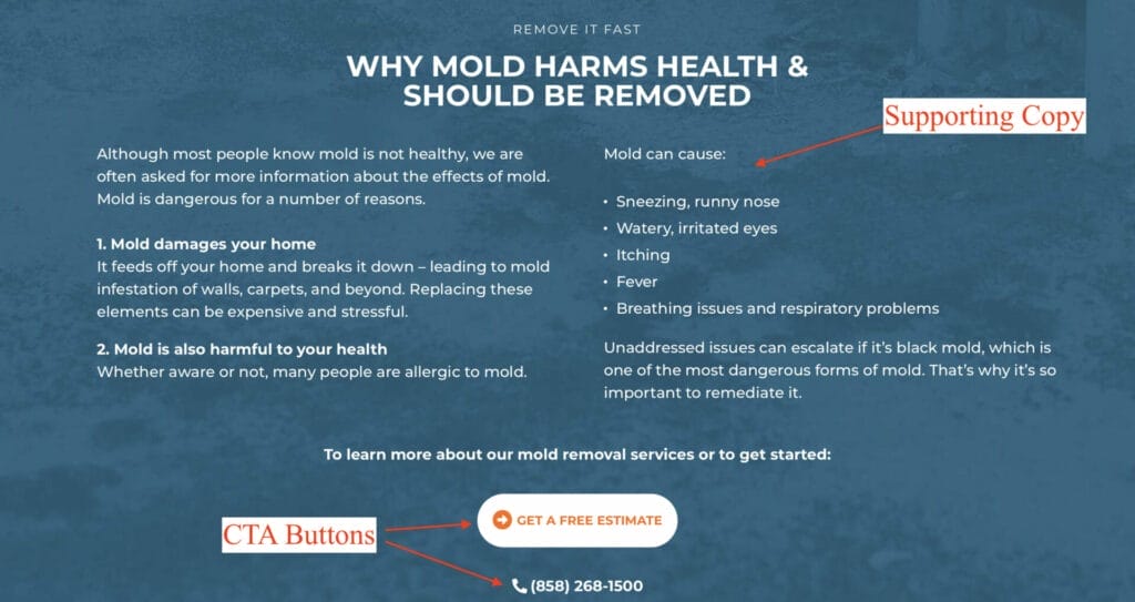 mold removal service to address user's fears and solutions