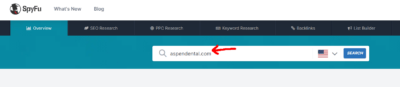 Enter competitor URL on SpyFu overview search box