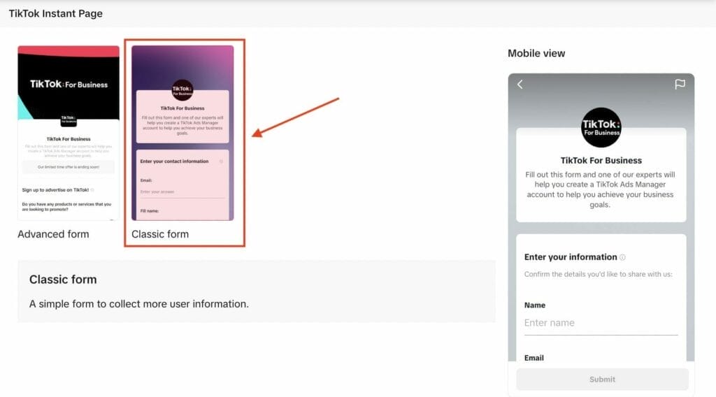 classic form option for tiktok campaign